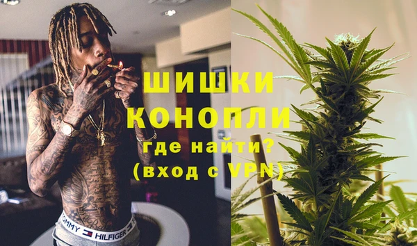 трава Белокуриха