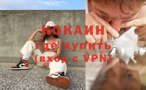 spice Богданович