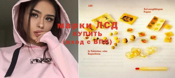 spice Богданович