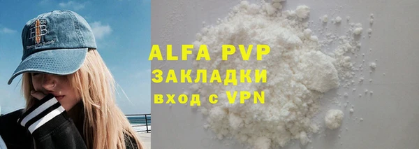 spice Богданович