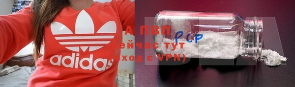 spice Богданович