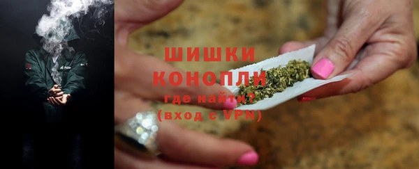 spice Богородицк