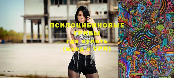 spice Богданович