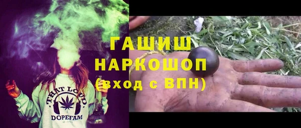 spice Богородицк