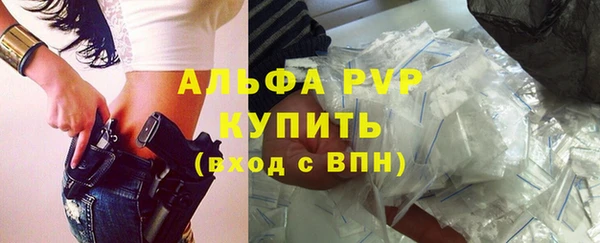 spice Богородицк