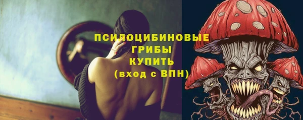 spice Богородицк